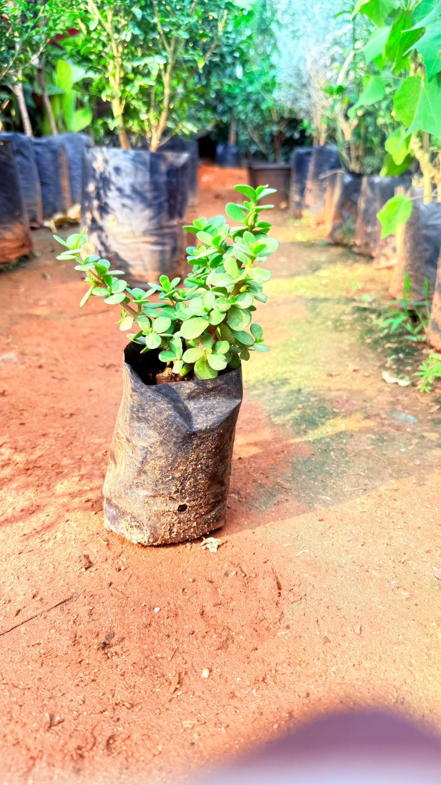 Jade 7/8 Nursery bag