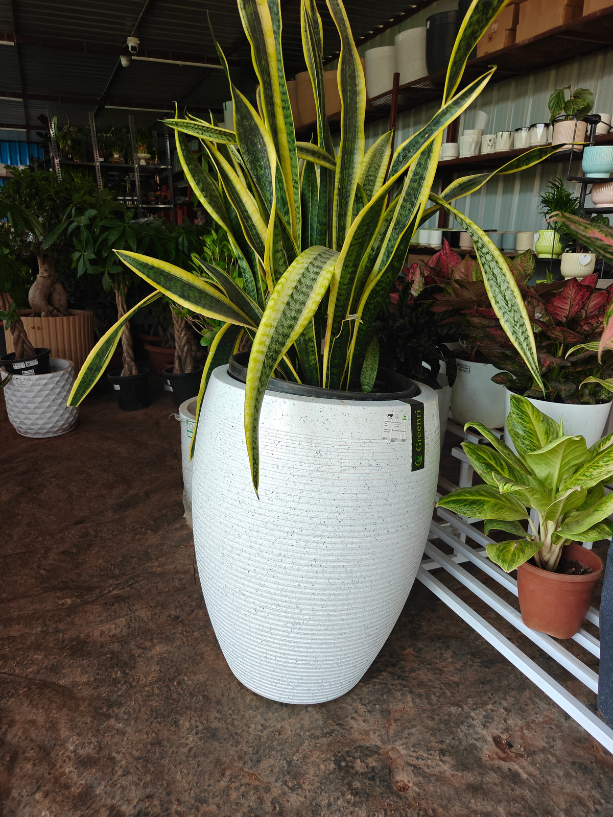 Vetro Vase