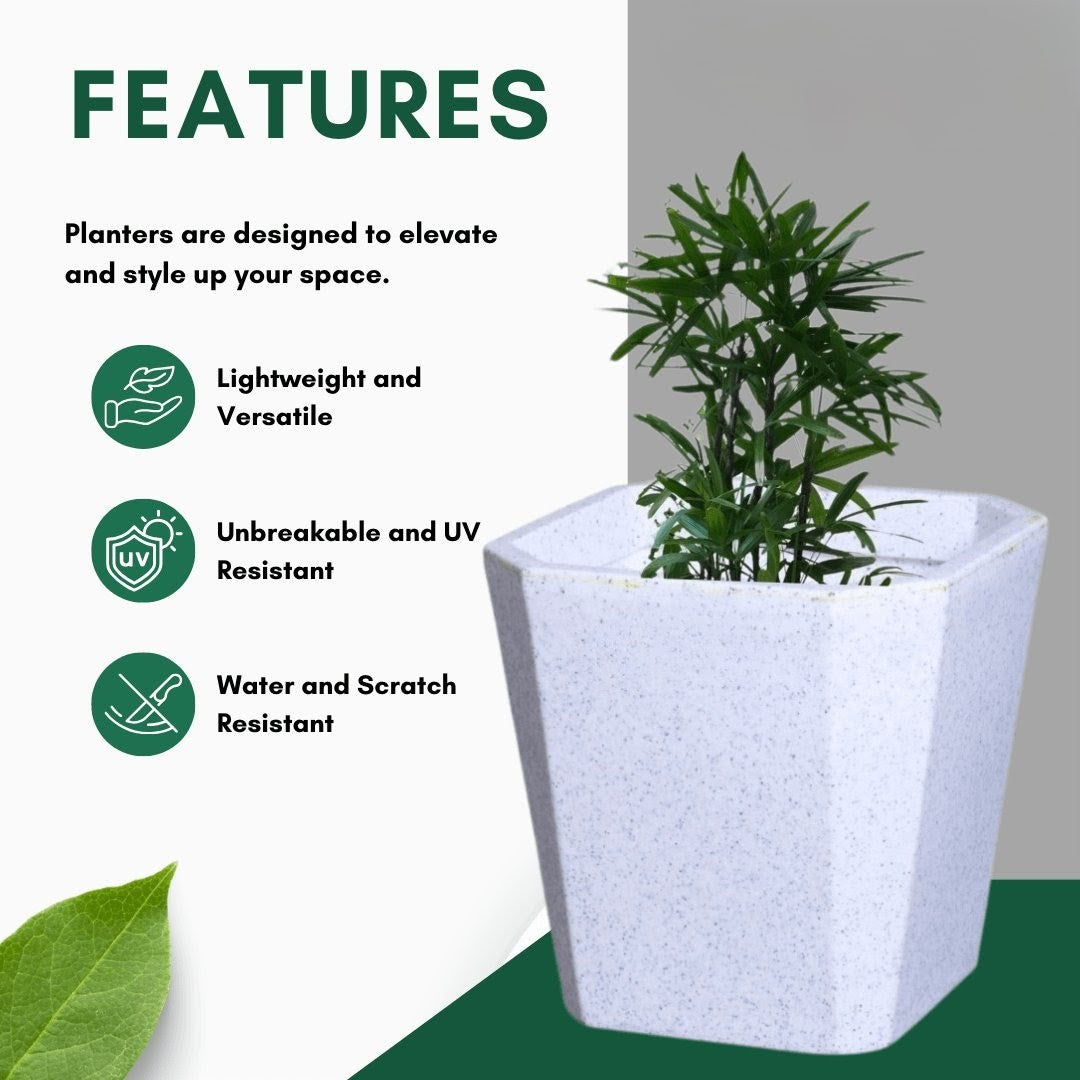 Octa Planter Roto Moulding Suitable for Home, Gardens, Hotels and Resorts