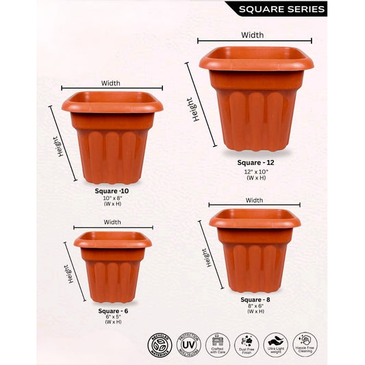Square Brown pots